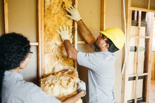 Best Local Insulation Services  in Shell Ridge, CA