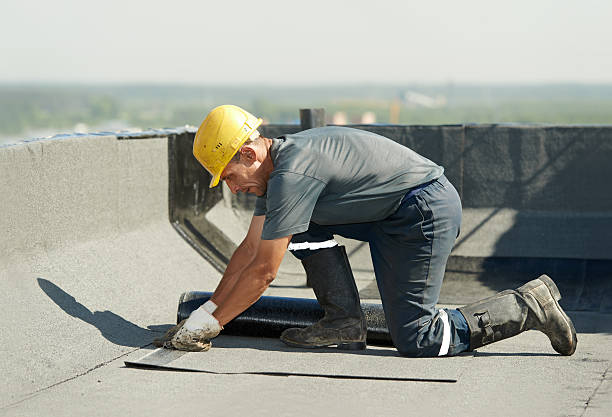 Best Crawl Space Insulation  in Shell Ridge, CA